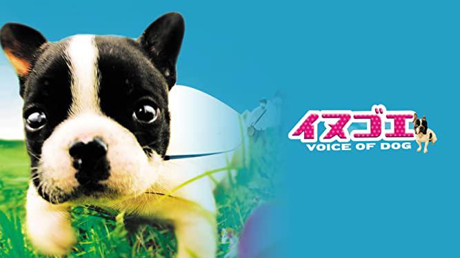 イヌゴエ VOICE OF DOG