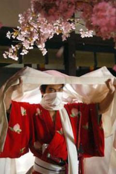 新・桃太郎侍