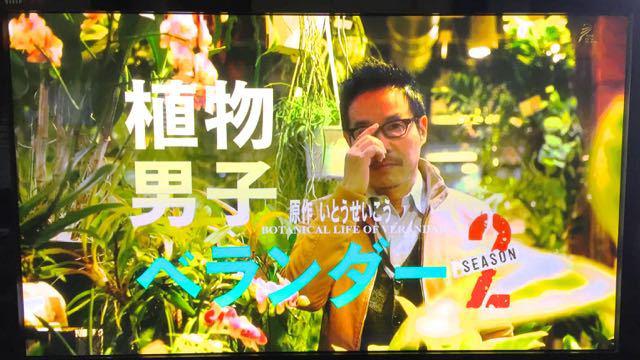 植物男子ベランダー SEASON2