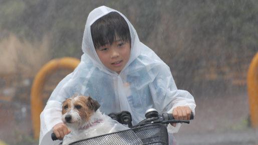 ぼくとママの黄色い自転車