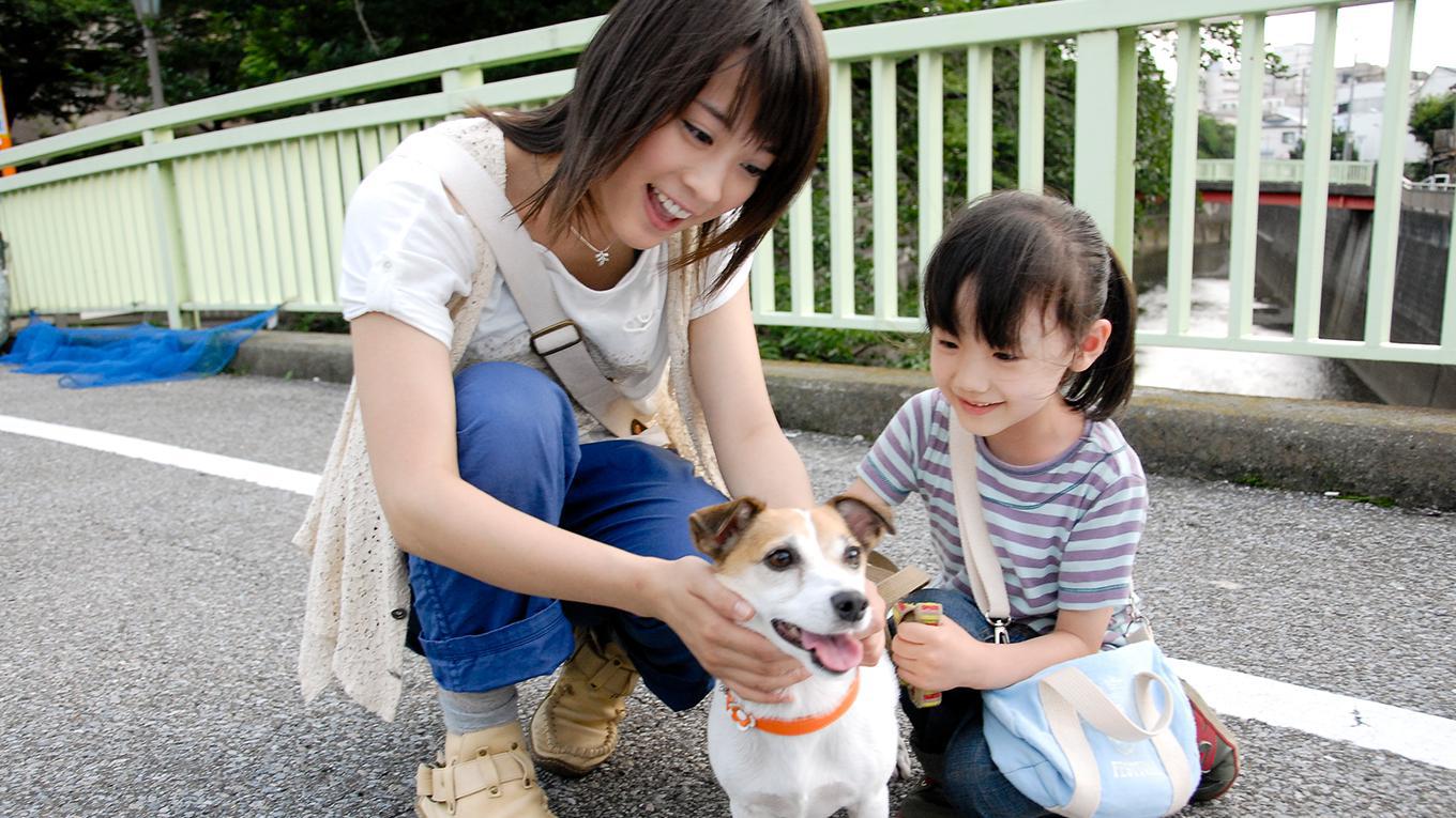 犬とあなたの物語 いぬのえいが