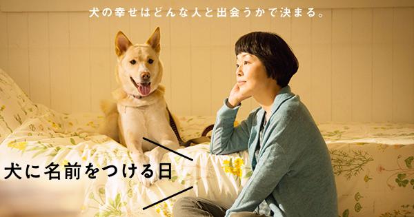 犬に名前をつける日